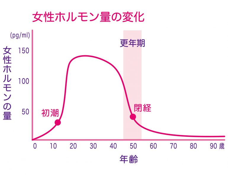 女性ホルモンの減少による骨粗鬆症｜こごた整形外科クリニック