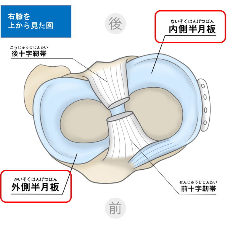 脚 足の痛み 美里町 小牛田で膝 足裏の痛み 外反母趾の治療